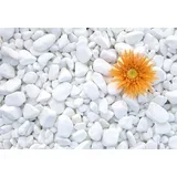 dekorativni kamen oblutak Tasos, 3-6cm 25kg, Beli