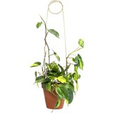 Botanopia Podpora za rastline - Pin Cene