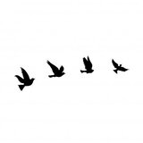WALLXPERT pigeons 289 | ePonuda.com