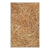 Conceptum Hypnose tepih staza (80x200) Hmnt561 | Eponuda.com