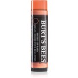 Burt’s Bees Tinted Lip Balm balzam za usne nijansa Zinnia 4.25 g | shoptok.hr