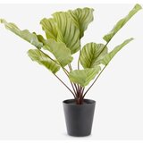  Veštačka biljka V55cm zelena Cene
