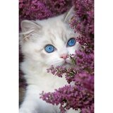Varvikas Dijamantski mozaik U zagrljaju jorgovana (LC056e Hiding in Lilacs) | ePonuda.com