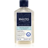 Phyto Anti-Dandruff Dermo-Trating Shampoo šampon proti prhljaju 250 ml | Shoptok.si