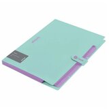 BERLINGO Fascikla sa 5 pregrada i kopčom Haze 600my zelena 04CEB327172F Cene