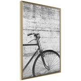  Poster - Bicycle Leaning Against the Wall 40x60 Cijene