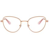 Swarovski Naočare SK 1022 4014 | ePonuda.com