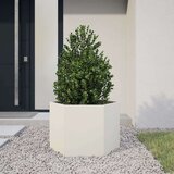 vidaXL Vrtno korito bela šestkotnik 40x40x40 cm jeklo | Shoptok.si
