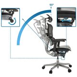MID.YOU Pisarniški Stol Ergohuman Gen2, Črna | Shoptok.si