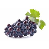  GROŽĐE CRNO UVOZ | Eponuda.com