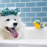 Play Poklon set Splish Splash 5 kom – | shoptok.hr