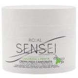  Krema za stopala Roial Sensei 250 ml – Menta | Eponuda.ba