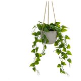 Casa Selección Umetna rastlina (višina 46 cm) – | Shoptok.si