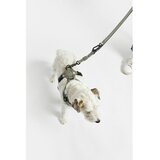 MiaCara Tamno sivi preklopni povodac dužina 200 cm Modena Asphalt 25 mm – | shoptok.hr