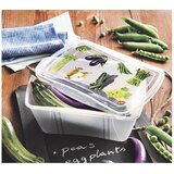  SET 2/1 PLASTIČNE POSUDE FRESH CONTAINER 2L SNIPS | shoptok.hr