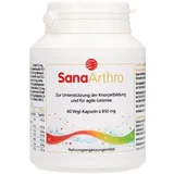 SanaArthro - 60 kapsul