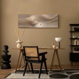  Slika - Delicate Feather 150x50 | shoptok.hr