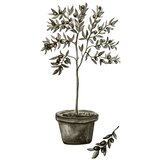 Venture Home poster Olive 21 × 30 cm, zeleni | shoptok.hr