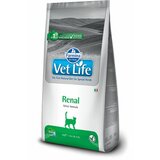 Farmina vet life veterinarska dijeta za mačke renal 2kg Cene
