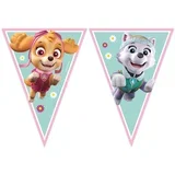 Banner paw patrol sky i everest