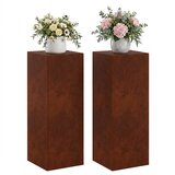  Stalak za biljke 2 pcs Rđa 30 x 30 x 80 cm Otporni čelik | shoptok.hr