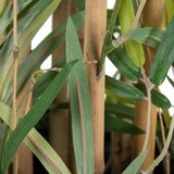 Ixia Umjetni bambus (visina 120 cm) Bamboo – | shoptok.hr