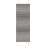 vidaXL Plisirana roleta antracit 40x100 cm širina tkanine 39,4 cm | shoptok.hr