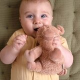 Little dutch plišana igračka prase little farm 25cm | shoptok.hr