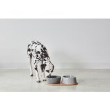 MiaCara Porculanske zdjele za hranu za ljubimce u setu 2 kom ø 21 cm Doppio Concrete M/L – | shoptok.hr