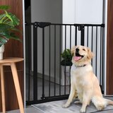 ECO TOYS Zaščitna varnostna pregrada za otroke in živali, nastavljiva širina 74-132cm, montaža brez vrtanja, črna, (5000289784) | Shoptok.si