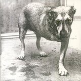 Alice In Chains - In Chains | Eponuda.com