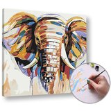 Artmie Slikanje po številkah SLON - Level Medium 50x50 cm | 50x50 cm - without frame | Shoptok.si