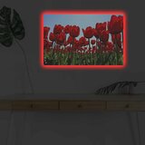 Wallity Zidna slika sa LED osvetljenjem 4570DHDACT-036, 45x70 cm | Eponuda.ba