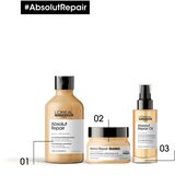 L´Oréal Paris Serie Expert Absolut Repair globinsko regeneracijski šampon za suhe in poškodovane lase 300 ml | Shoptok.si