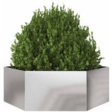  Vrtna sadilica šesterokutna 138x120x45 cm od nehrđajućeg čelika | Eponuda.com