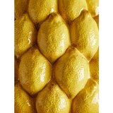 Bloomingville Rumena ročno poslikana vaza iz kamenine (višina 22 cm) Limone – | Shoptok.si