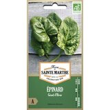  Špinača "Géant d'Hiver" | Shoptok.si
