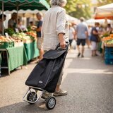 Vilde voziček za nakupovanje s torbo 30 L – črna | Shoptok.si