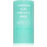 NEOGEN Dermalogy Canadian Clay Pore Stick Mask maska za dubinsko čišćenje za sužavanje pora 28 g