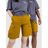 Nike Sb Kearny Shorts bronzine Cijene