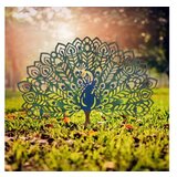 WALLXPERT decorative object figura peacock | ePonuda.com