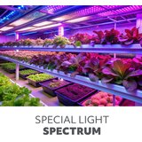  LED sijalica za uzgoj biljaka PLANTY E27/40W/230V 1200K | Eponuda.com