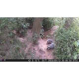 OXE Lovska kamera Gepard II in zaščitna kovinska škatla + 32GB kartica SD in 4 baterije! | Shoptok.si