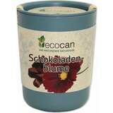 Feel Green ecocan "Čokoladni cvet" | Shoptok.si