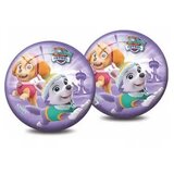 Paw Patrol SE 001-Lopta patrolne šape 23 cm NL Cene