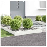 vidaXL Ograda oko Travnjaka 4 kom. 100 x 100 x 20 cm Čelik Bijela - Bijela 100 x 100 x 20 cm 4 | shoptok.hr