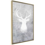  Poster - White Shadow 30x45 Cijene