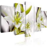  Slika - Royal Flower 100x50 Cijene