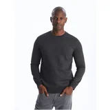 LC Waikiki Crew Neck Long Sleeve Men's Sweatshirt