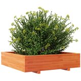  Vrtna sadilica voštano smeđa 100x100x26,5 cm masivna borovina | shoptok.hr